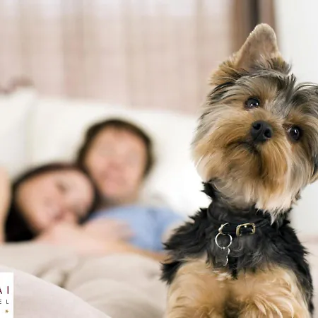 Hotell Mastai Senigallia